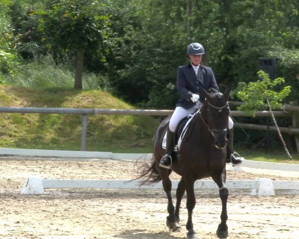 Reitturnier Niedernstöcken 2020