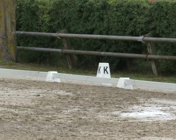 Reitturnier Niedernstöcken 2020