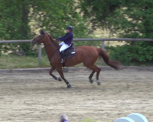 Reitturnier Erkrath - Uhlenhof 2020