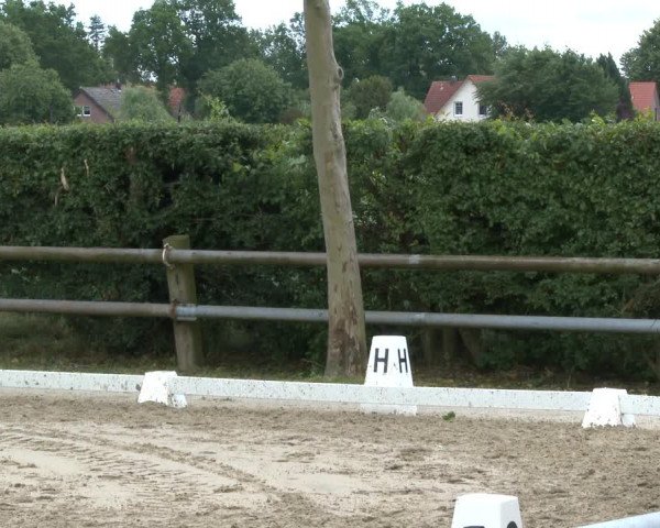 Reitturnier Niedernstöcken 2020