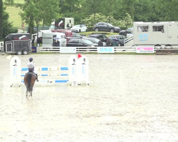 Reitturnier Aesch (Neftenbach) 2020