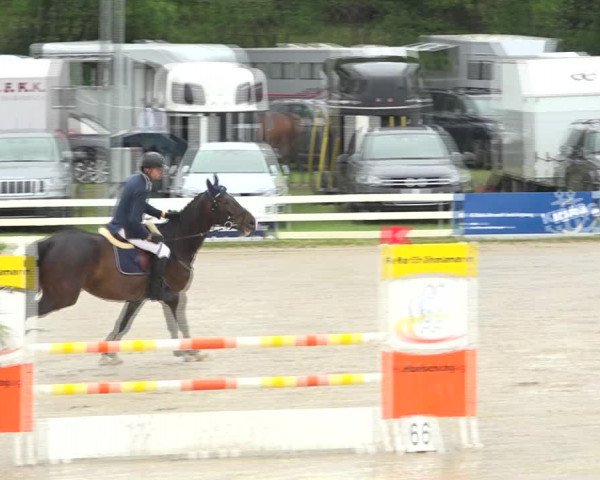 Reitturnier Aesch (Neftenbach) 2020