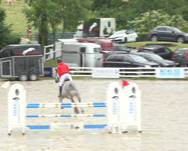 Reitturnier Aesch (Neftenbach) 2020
