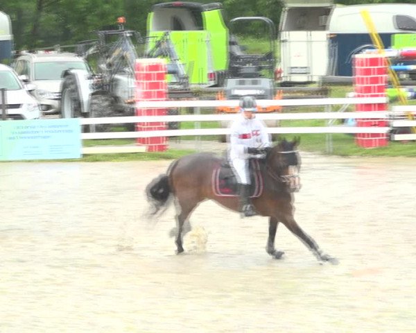 Reitturnier Aesch (Neftenbach) 2020