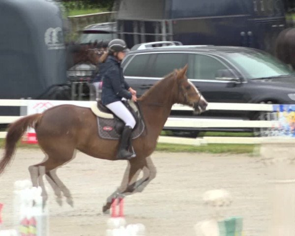 Reitturnier Aesch (Neftenbach) 2020