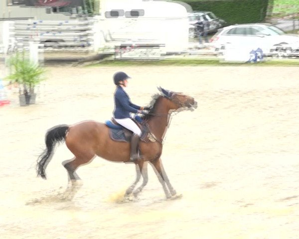 Reitturnier Aesch (Neftenbach) 2020