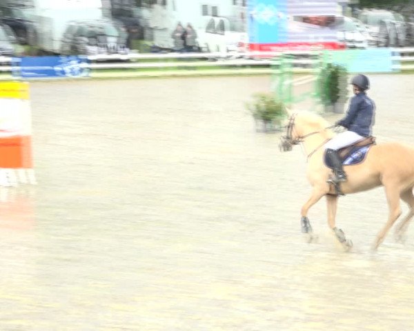 Reitturnier Aesch (Neftenbach) 2020