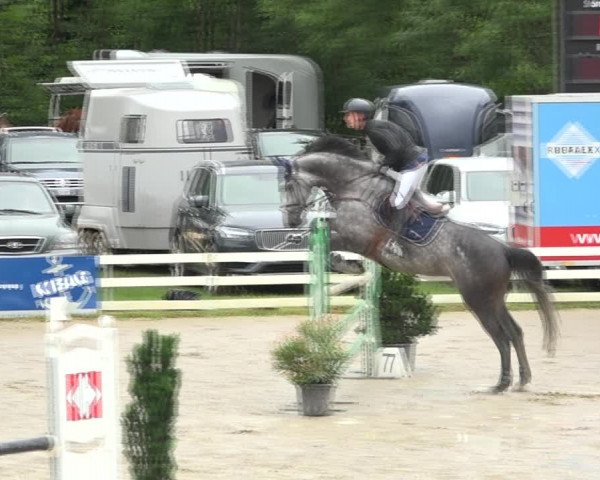 Reitturnier Aesch (Neftenbach) 2020