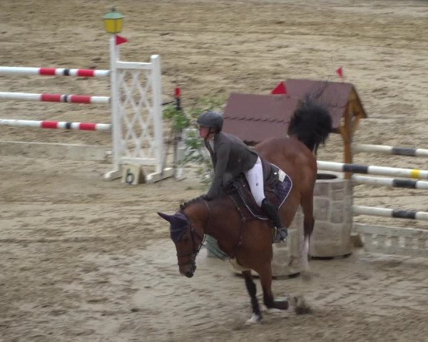 Reitturnier Erkrath - Uhlenhof 2020