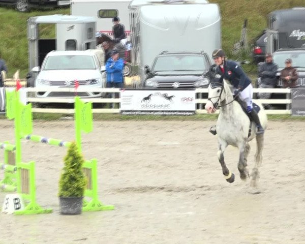 Reitturnier Aesch (Neftenbach) 2020