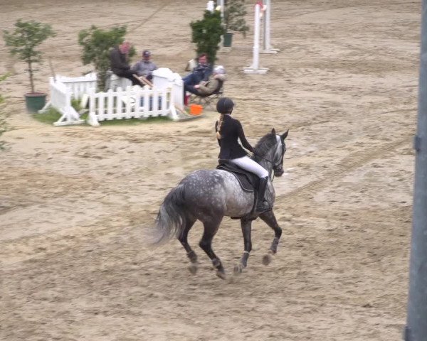 Reitturnier Erkrath - Uhlenhof 2020