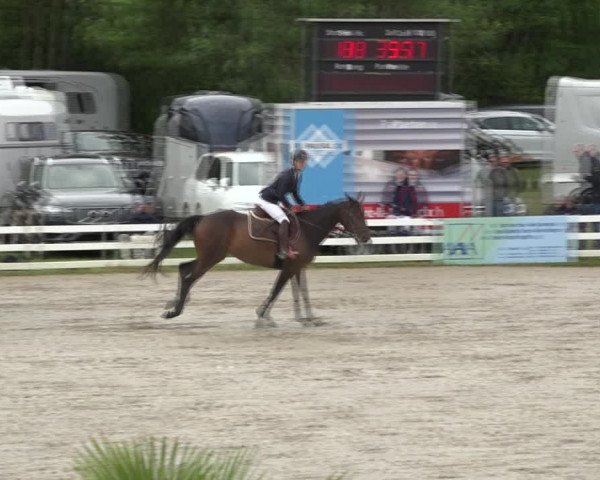 Reitturnier Aesch (Neftenbach) 2020
