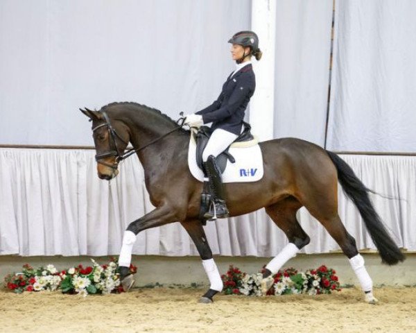 horse Loxley's Liebling (Westphalian, 2012, from Lord Loxley I)