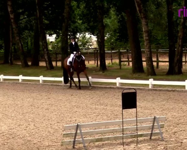 Reitturnier Heiden 2020