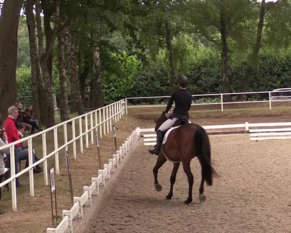 Reitturnier Heiden 2020