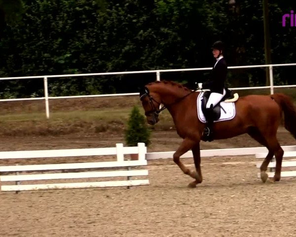 Reitturnier Heiden 2020