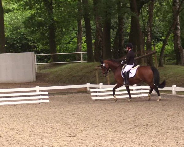 Reitturnier Heiden 2020