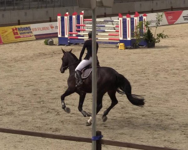 Reitturnier Westergellersen 2020