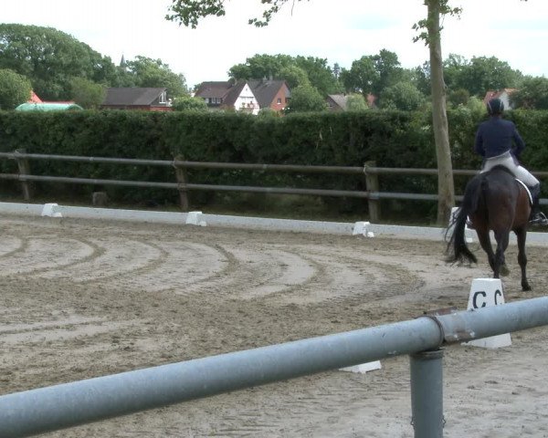 Reitturnier Niedernstöcken 2020