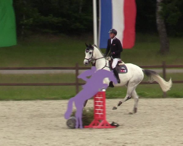 Reitturnier Westergellersen 2020