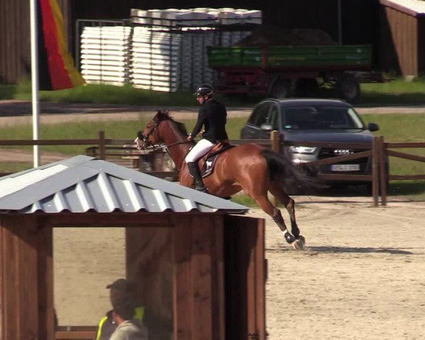 Reitturnier Westergellersen 2020