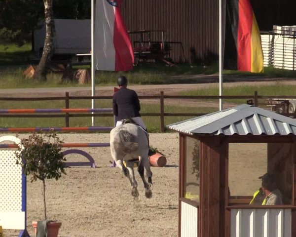 Reitturnier Westergellersen 2020