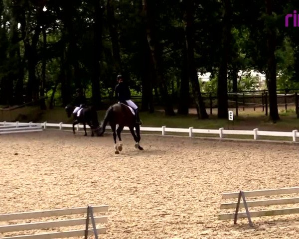 Reitturnier Heiden 2020