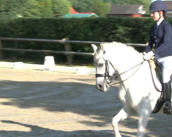Reitturnier Niedernstöcken 2020