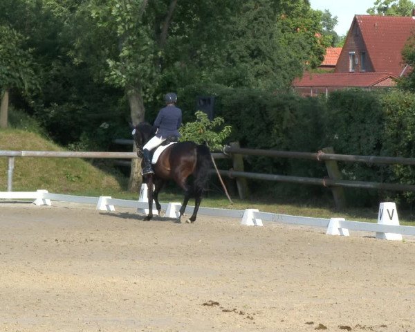 Reitturnier Niedernstöcken 2020