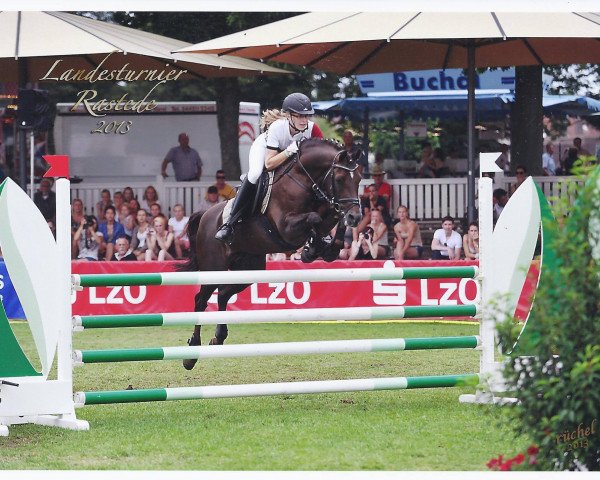 jumper Full Speed TCF (German Riding Pony, 1997, from Folklore)