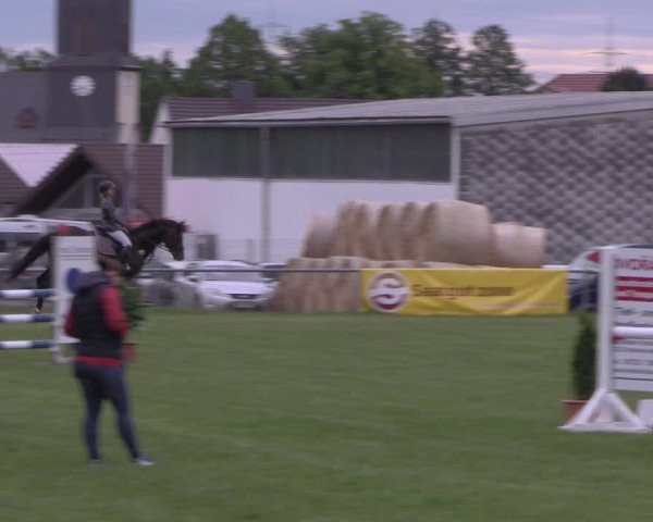Reitturnier Altmittweida 2020