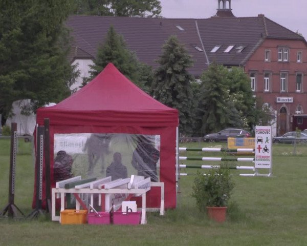 Reitturnier Altmittweida 2020