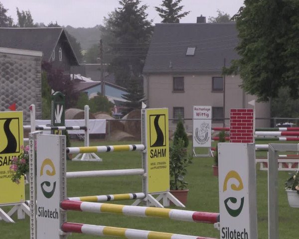 Reitturnier Altmittweida 2020