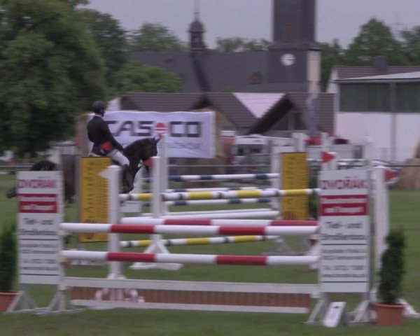 Reitturnier Altmittweida 2020
