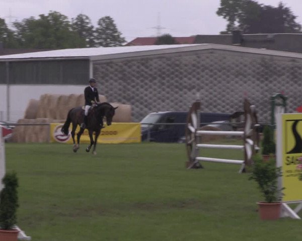 Reitturnier Altmittweida 2020