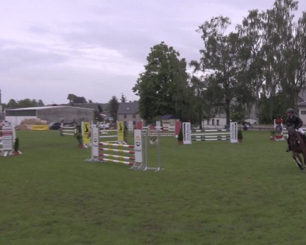 Reitturnier Altmittweida 2020