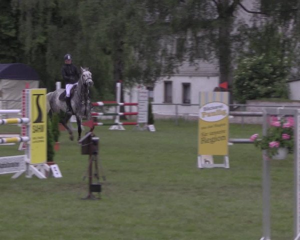 Reitturnier Altmittweida 2020