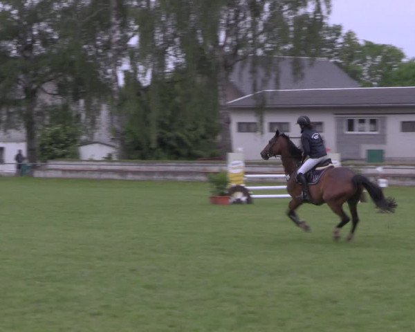 Reitturnier Altmittweida 2020