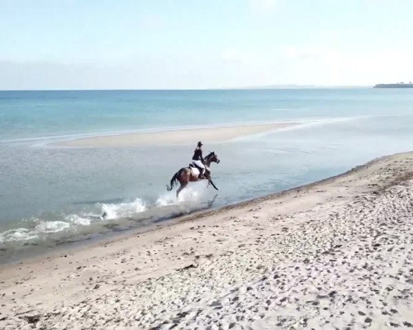 Video von Krilon SB