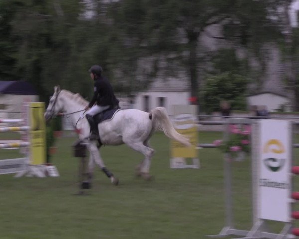 Reitturnier Altmittweida 2020
