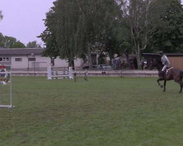 Reitturnier Altmittweida 2020
