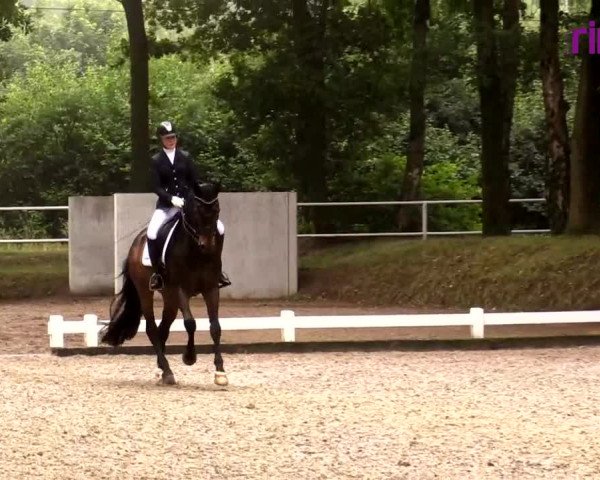 Reitturnier Heiden 2020