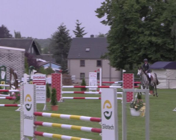 Reitturnier Altmittweida 2020