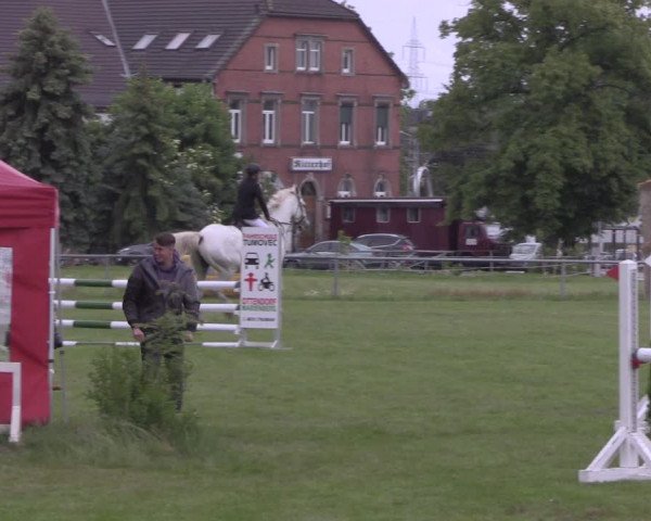 Reitturnier Altmittweida 2020