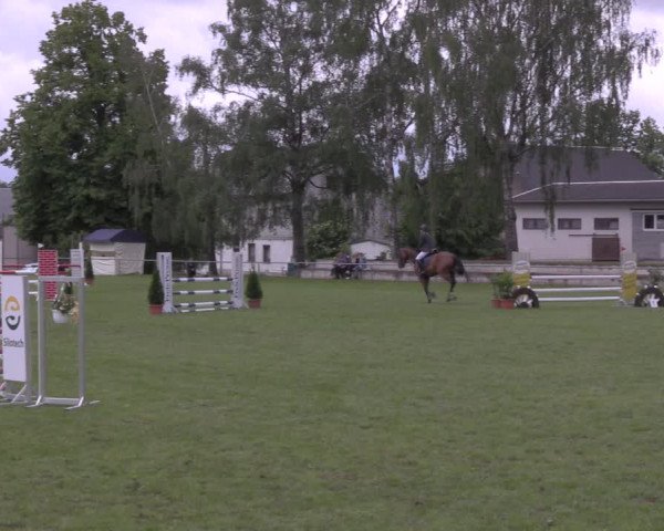 Reitturnier Altmittweida 2020