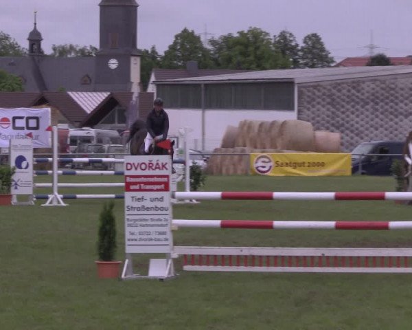 Reitturnier Altmittweida 2020