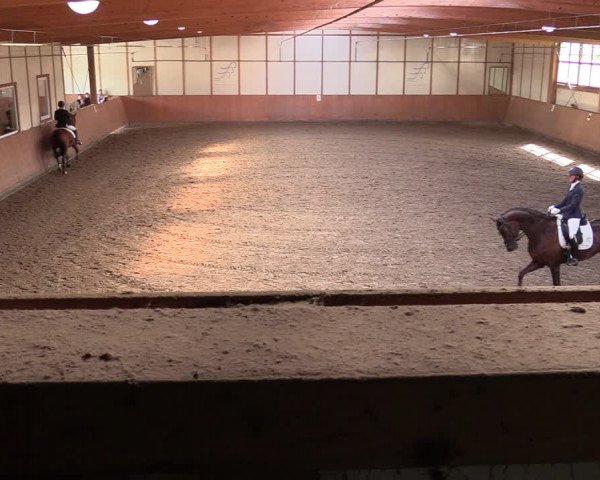 Reitturnier Halver 2020