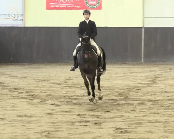Reitturnier St. Peter Ording 2021
