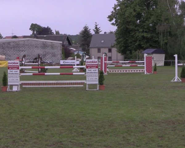 Reitturnier Altmittweida 2020