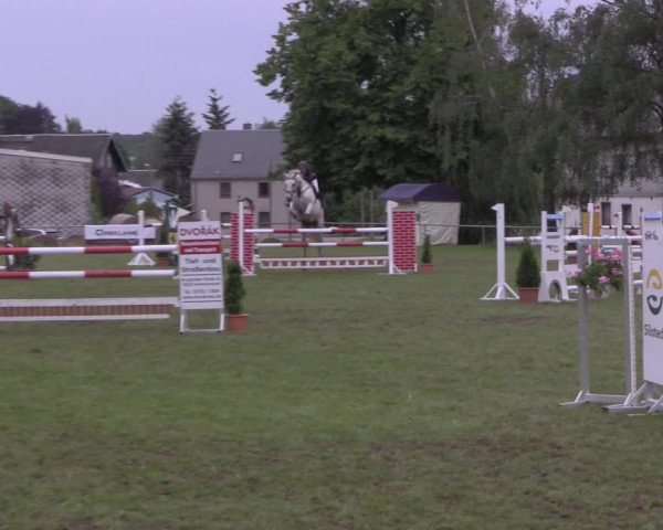 Reitturnier Altmittweida 2020